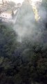 Princípio de incêndio no Parque das Borboletas, em BH, assusta moradores
