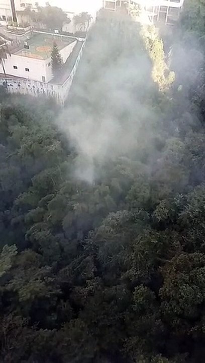 Princípio de incêndio no Parque das Borboletas,...
