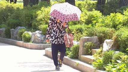 [날씨] 화창한 휴일, 대부분 건조특보...산불 등 화재 유의 / YTN