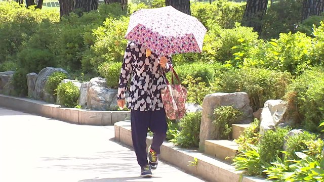 [날씨] 화창한 휴일, 대부분 건조특보...산불 등 화재 유의 / YTN