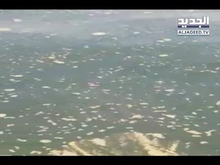 مشاهد لعصارة نفايات تسبح في المياه اللبنانية أمام مطمر برج حمود -  ليال بو موسى