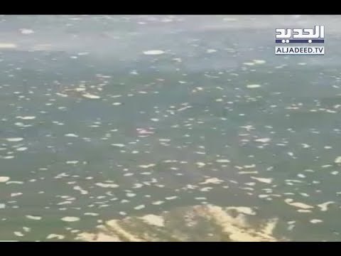 مشاهد لعصارة نفايات تسبح في المياه اللبنانية أمام مطمر برج حمود - ليال بو موسى