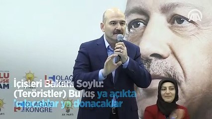 "Teröristler bu kış ya açıkta kalacaklar ya donacaklar"