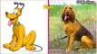  Dogs Cartoon In Real Life  All Characters @Sona Show