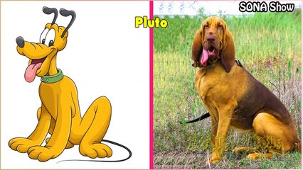  Dogs Cartoon In Real Life  All Characters @Sona Show