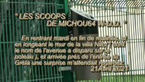 LES SCOOPS DE MICHOU64 W-D.D. - 21 AVRIL 2021 - PAU - INSTALLATION D'UN CENDRIER  PRÈS DE L'ENTRÉ DU GRÉTA