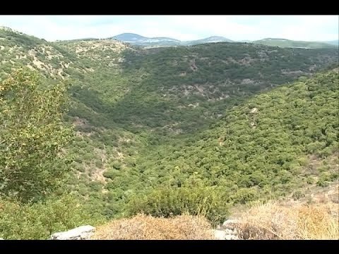 كسّارة غير شرعيّة ستُدمّر 2 مليون مترٍ مربعٍ من تلال لبنان لتدرّ الملايين على الحريري - هادي الأمين