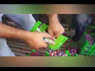 كمية كبيرة من الكبتاغون مخبأة بين الفواكه لتُهرّب الى الدول العربية -  عنان زلزلة