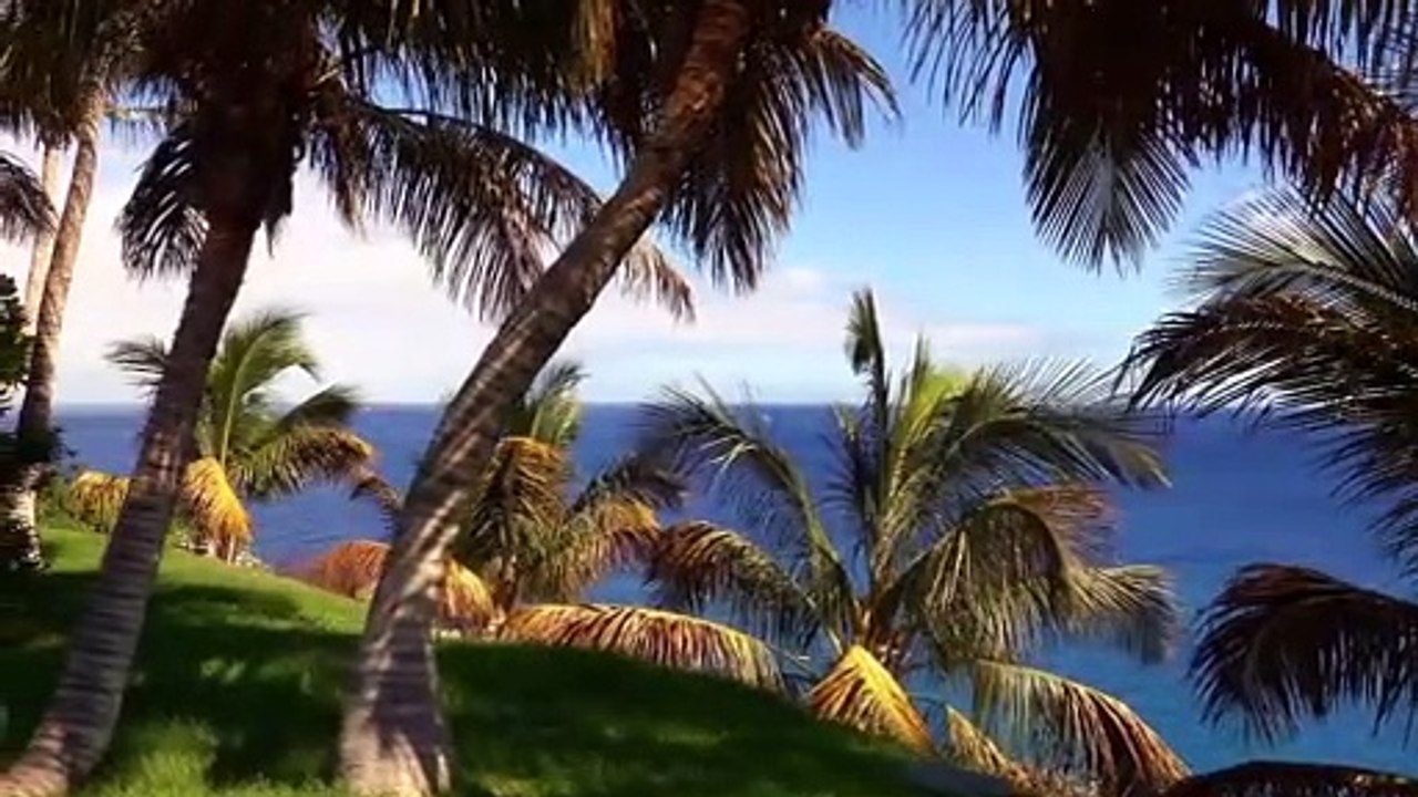 Beach view beautiful nature relaxing music nature lover
