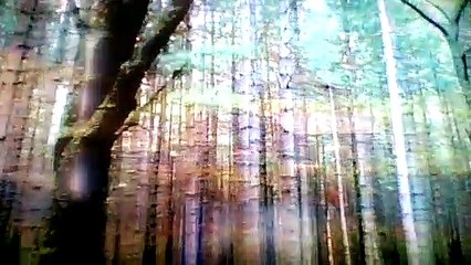 Tales From Darkside  False Prophet