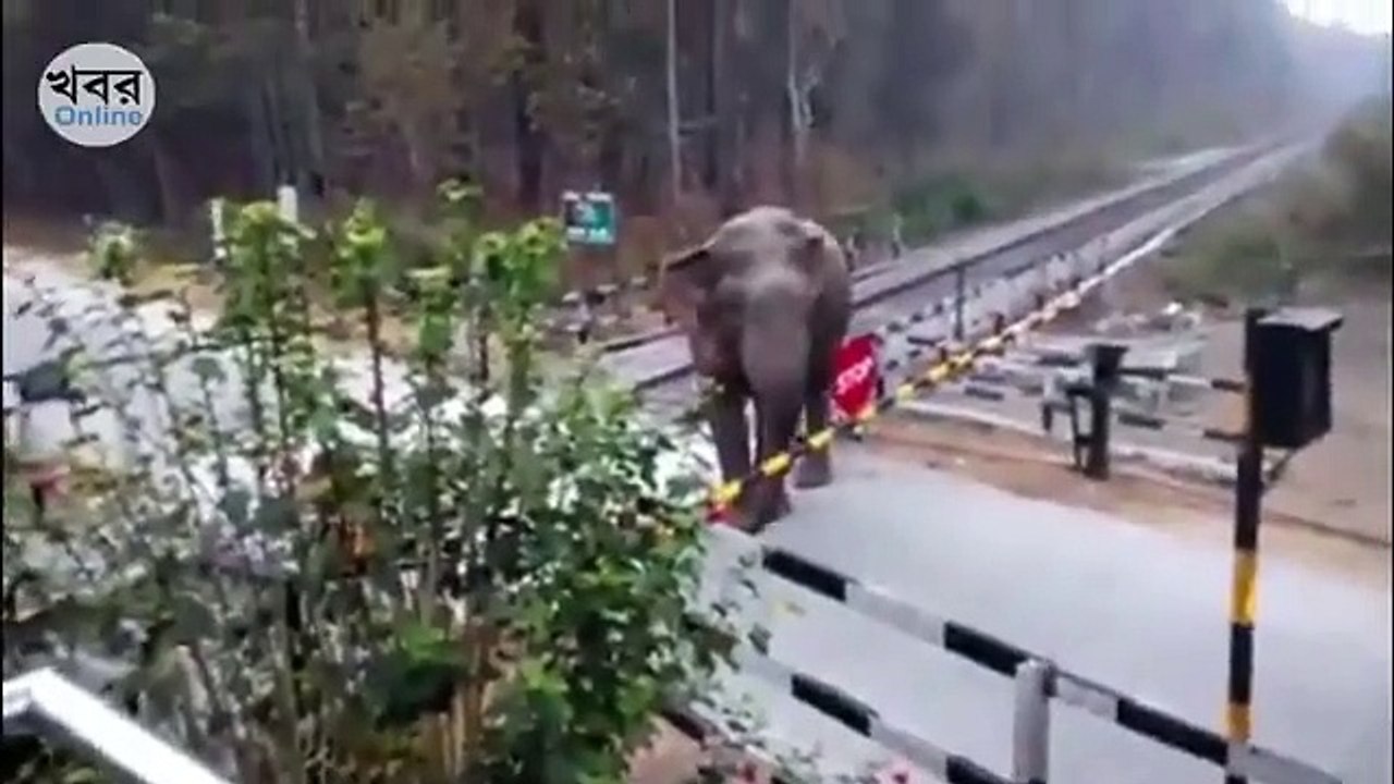 Best videos, Top videos, Viral videos Funny videos no. 161