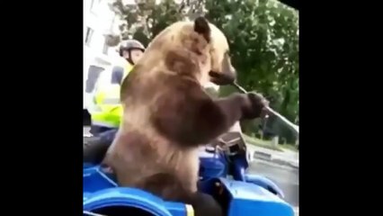 try not to laugh 9  SLAV edition Russian (2021)