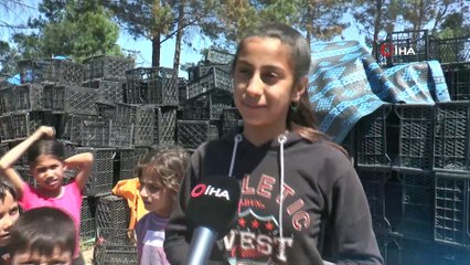 Mevsimlik işçilerin zorlu mesaisi başladı