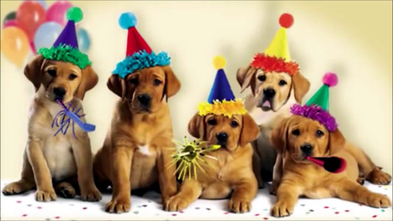 Happy Birthday  to share with the birthday girl and boy