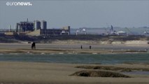 Près de Calais, la délicate cohabitation entre les colonies de phoques et les humains