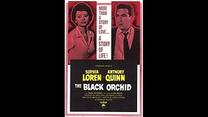 DRAMATIC FILMS: ORQUIDEA NEGRA/THE BLACK ORCHID (1958): DA LO MEJOR DE TI Y PODRAS REHACER TU VIDA.