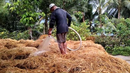 West side farmers pay the straw