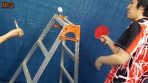 Un génie du ping-pong