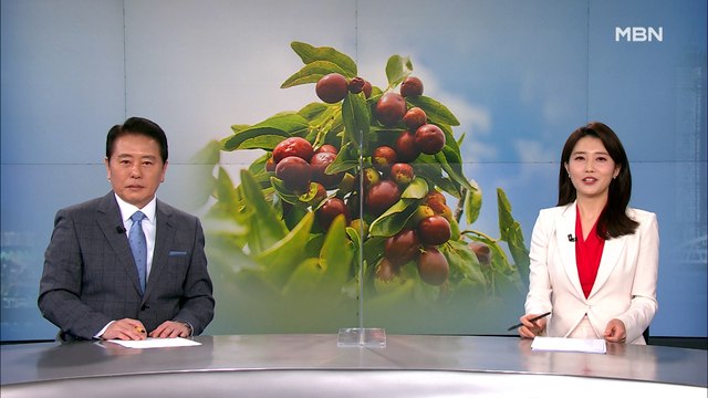 4월 25일 MBN 종합뉴스 클로징