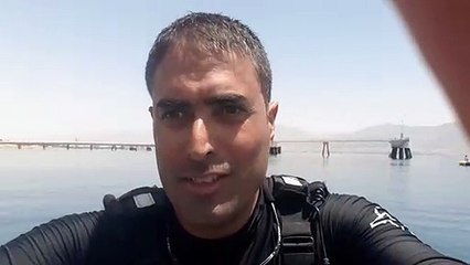 עומרי עומסי מספר על הדולפינה והגור החדש במפרץ אילת