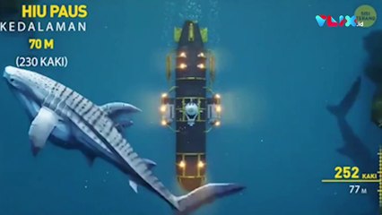 Ilustrasi Kedalaman Laut yang Diselami KRI Nanggala-402
