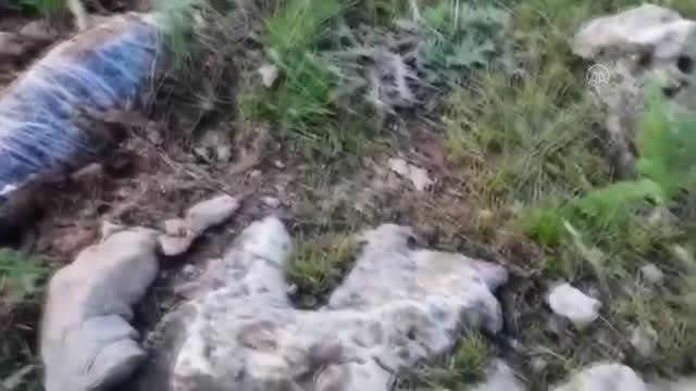 Son dakika haber... Pençe-Şimşek ve Pençe-Yıldırım operasyonlarında EYP, silah ve mühimmat ele geçirildi