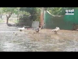 تساقط غزير للأمطار في عكار
