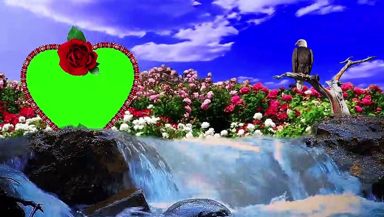 Wedding green screen Effects HD Video 07/Dil photo frame Very Beautiful New green photo frame