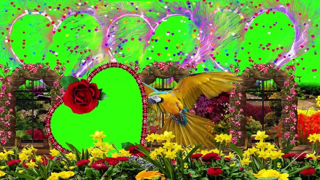 Wedding green screen effect background beautiful frame || Love Green Screen Video Effects 2021