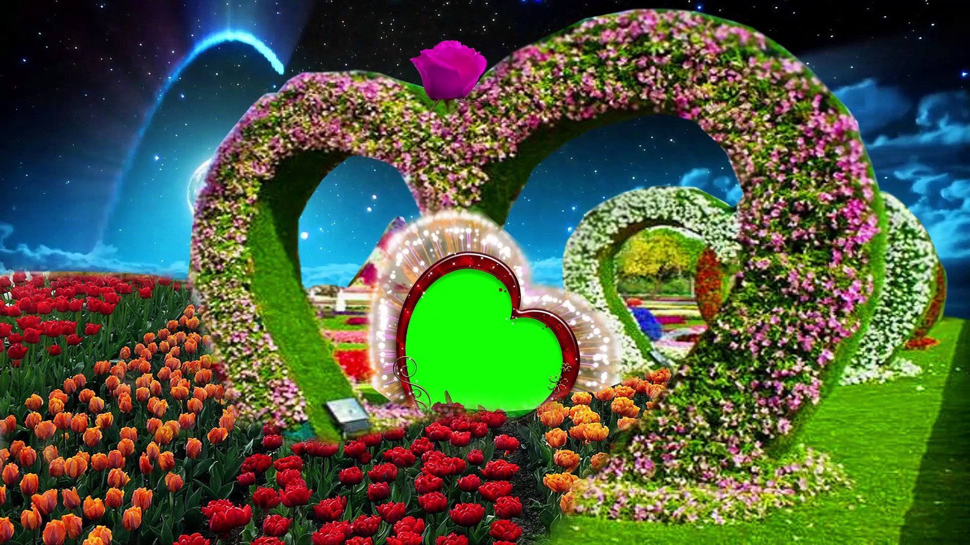 New love wedding green screen video effect -new photo frame HD -green  screen effects wedding -(2021), image size:1920x1080