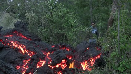 코로나19에 화산 분화 피해까지 덮친 과테말라 / YTN