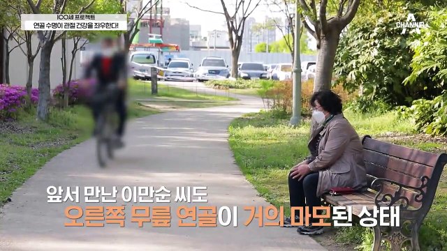 ▶관절 건강의 열쇠, 연골◀ 퇴행성 관절염을 막아라!