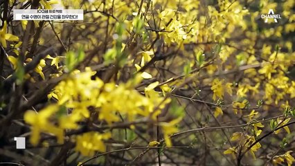 관절염을 이겨내고 인생을 되찾은 그녀, 여성이 퇴행성 관절염에 더 취약한 이유?