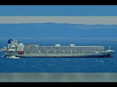 رحمة خبيثة تنتظر الأوامر في عرض البحر- حسان الرفاعي