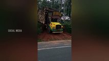 TATA Se 1613 Timber lorry kerala | Timber lorry drivers extreme off road driving