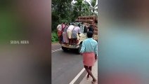 Overloaded timber lorry kerala | Extreme Timber truck driving