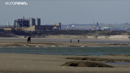 'Do Not Disturb': Walkers in France asked not to frighten seals