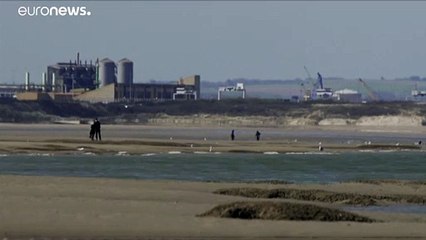 Франция: осторожно, тюлени