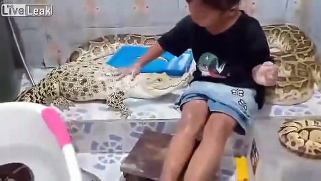Cette fillette fait la toilettes à son crocodile et ses serpents