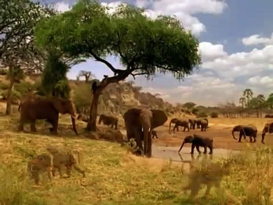 Michael Jackson - Earth Song (Official Video) - video Dailymotion