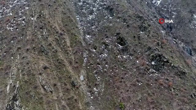Bitlis kırsalında ele geçirilen EYP ve top mühimmatları imha edildi