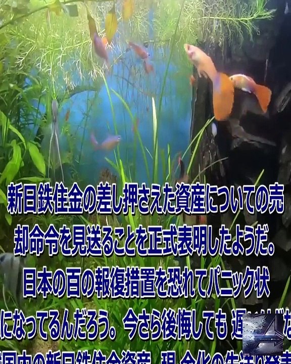 パパはヒヤヒヤのトンカツを食べればいい。