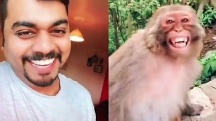 Funny vedios  | Tiger Prank vedio | Dog prank vedio | Fake Tiger prank | Comedy vedios.