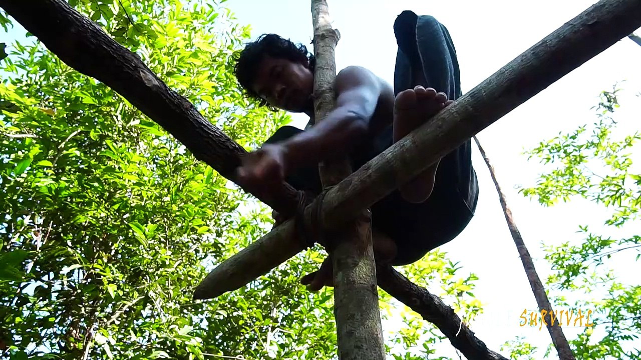Building The Most Stunning Bamboo Jungle House By Ancient Skills