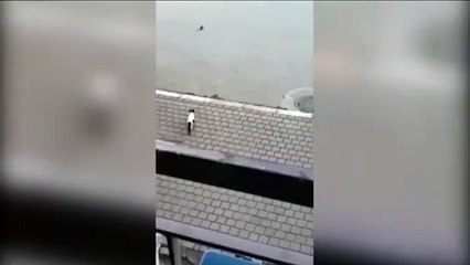 Antalya'da delikanlı fare kediye dalıyor