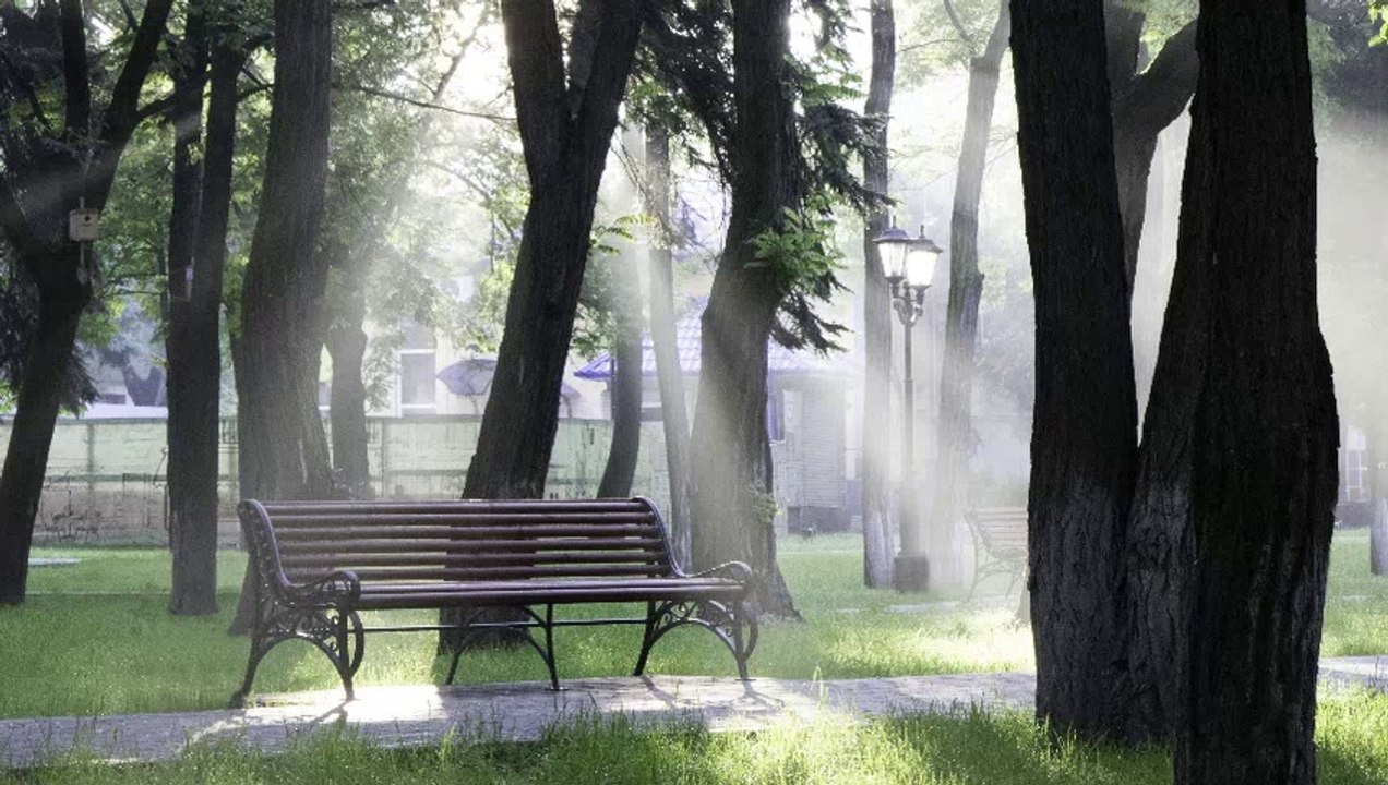 Relaxing music Morning at park bench