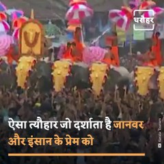 A Festival That Shows Love Of Animals And Humans