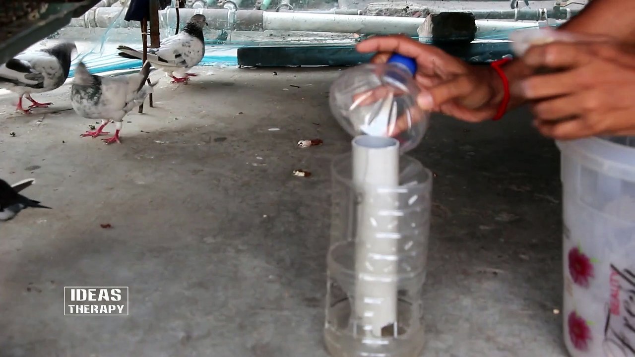 How To Make Automatic Bird Feeder Easy Way With DIY Usage Waste Plastic Bottle Pigeon Home