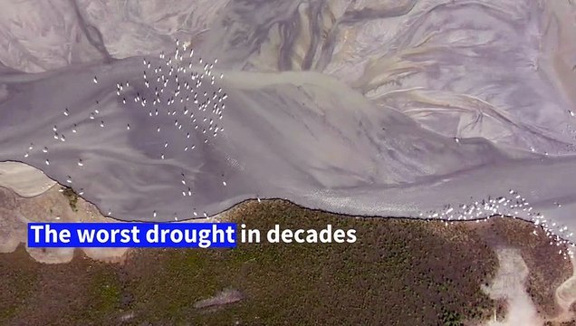 Worst drought in decades hits Taiwan