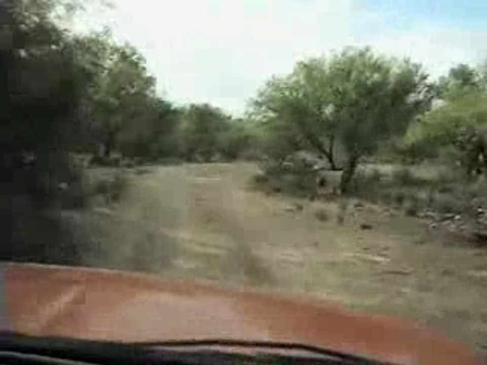Mexican Border Crossing